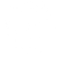 Platinum Lion logo